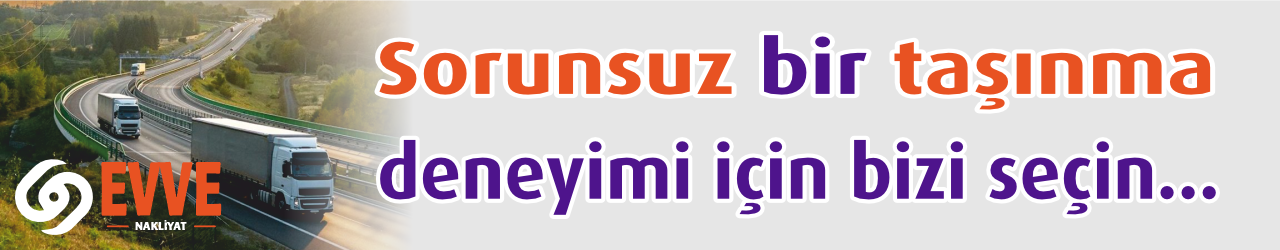 Ankara İstanbul asansörlü nakliyat